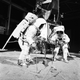 Illustration for article titled Real Apollo 11 Training Photos Look Like Prep For a Fake Moon Landing